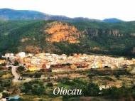 Excursión OLOCAU 3º y 4º Primaria